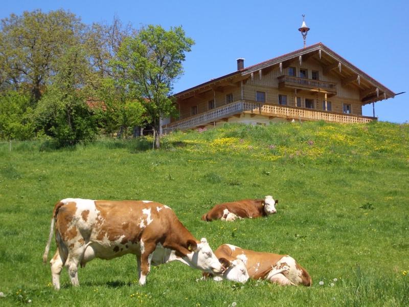 Huberbauernhof Ferienwohnungen Piding Bagian luar foto